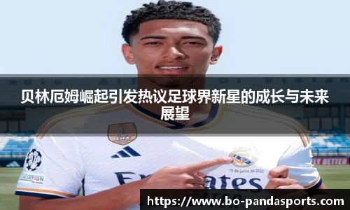 熊猫体育官网