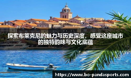 探索布莱克尼的魅力与历史深度，感受这座城市的独特韵味与文化底蕴